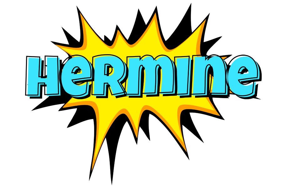 Hermine indycar logo
