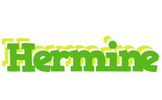 Hermine picnic logo