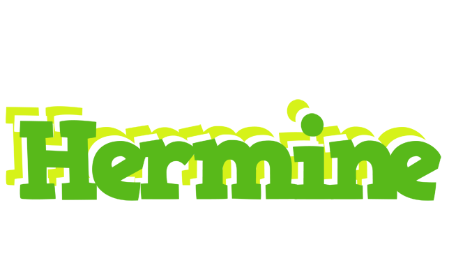 Hermine picnic logo