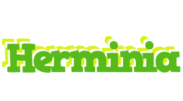 Herminia picnic logo