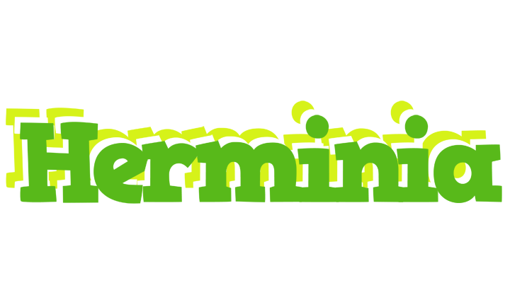 Herminia picnic logo