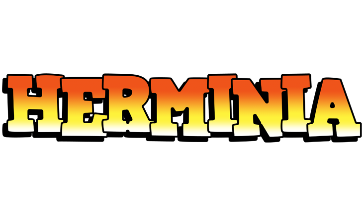Herminia sunset logo