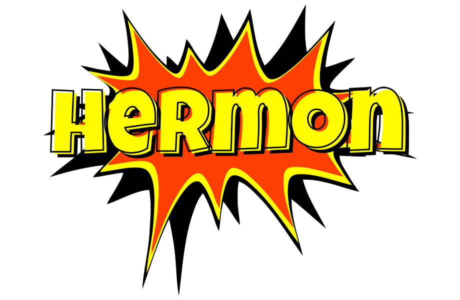 Hermon bazinga logo