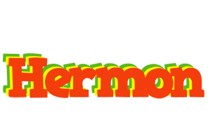 Hermon bbq logo