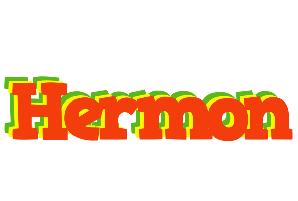 Hermon bbq logo