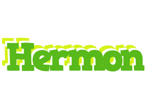 Hermon picnic logo