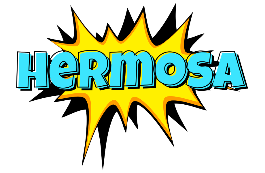 Hermosa indycar logo