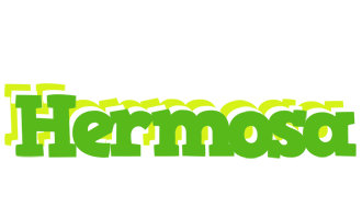 Hermosa picnic logo