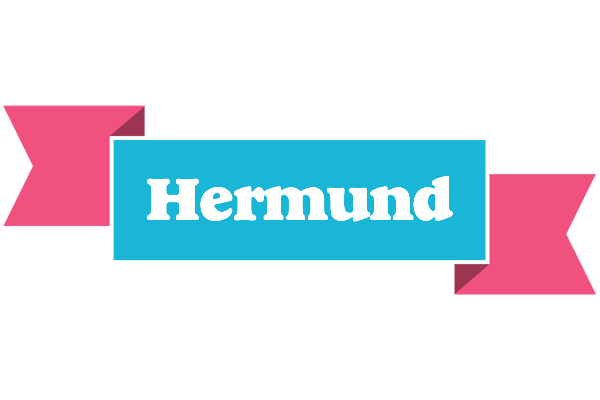 Hermund today logo