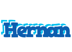 Hernan business logo