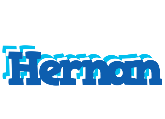 Hernan business logo