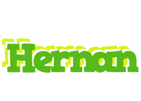 Hernan picnic logo