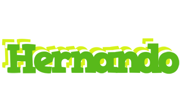 Hernando picnic logo