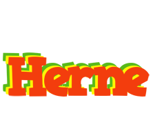 Herne bbq logo