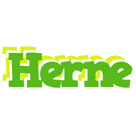 Herne picnic logo