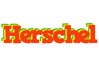 Herschel bbq logo