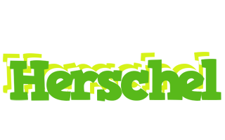 Herschel picnic logo