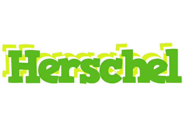 Herschel picnic logo