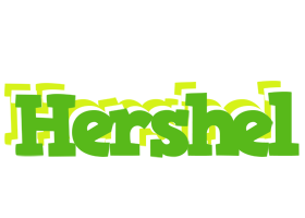 Hershel picnic logo