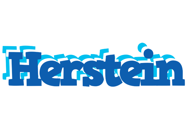 Herstein business logo