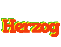 Herzog bbq logo