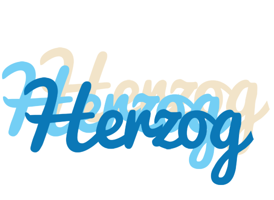 Herzog breeze logo