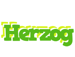 Herzog picnic logo