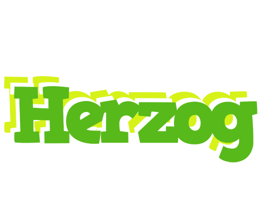 Herzog picnic logo