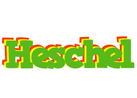 Heschel crocodile logo