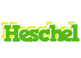 Heschel picnic logo