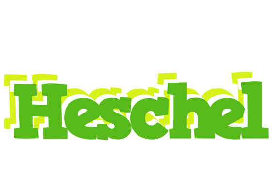 Heschel picnic logo