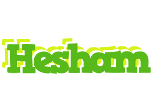 Hesham picnic logo