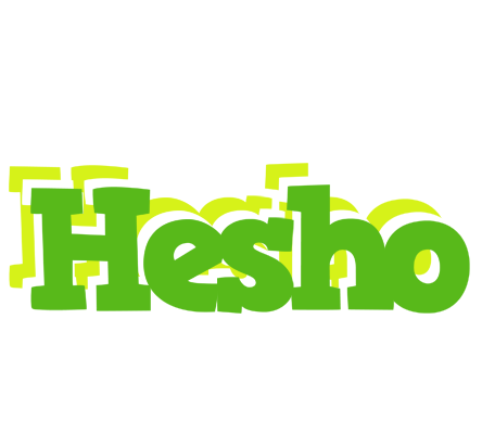 Hesho picnic logo