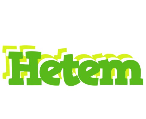 Hetem picnic logo