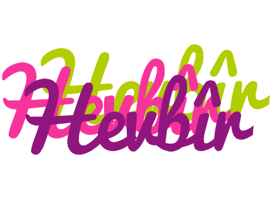 Hevbîr flowers logo