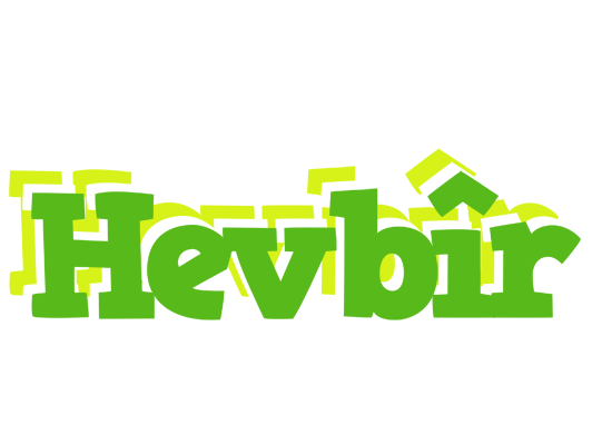Hevbîr picnic logo