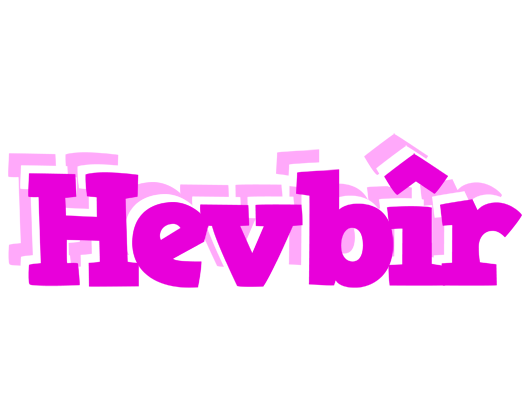 Hevbîr rumba logo