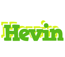 Hevin picnic logo