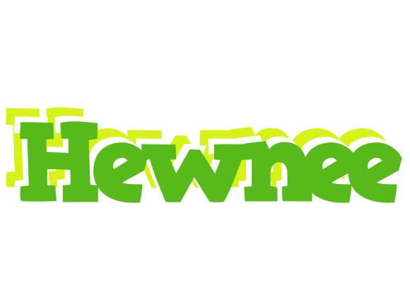 Hewnee picnic logo