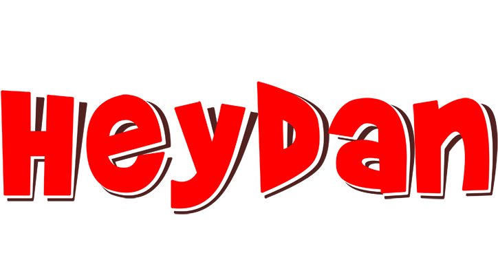 Heydan basket logo