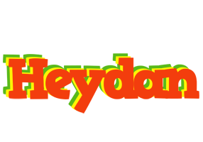 Heydan bbq logo