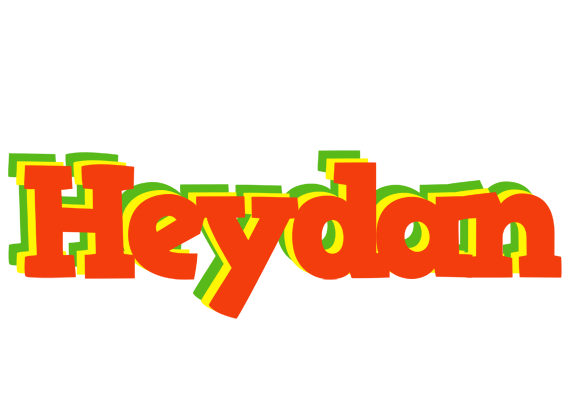 Heydan bbq logo