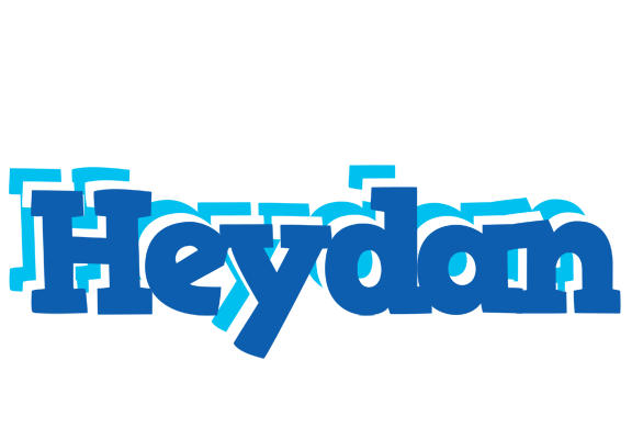 Heydan business logo