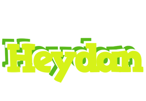 Heydan citrus logo