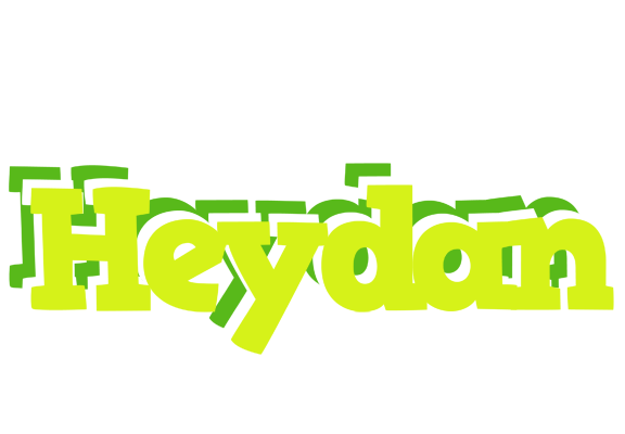 Heydan citrus logo