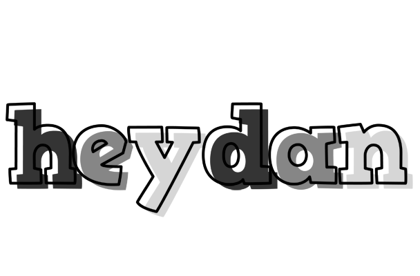 Heydan night logo