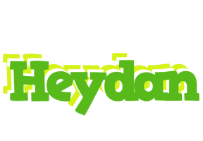 Heydan picnic logo