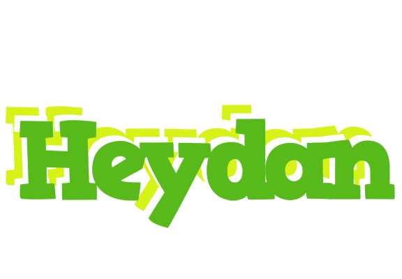 Heydan picnic logo