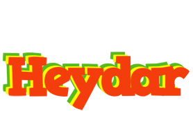 Heydar bbq logo