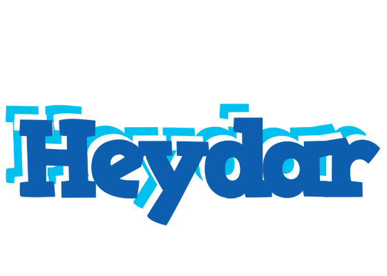 Heydar business logo